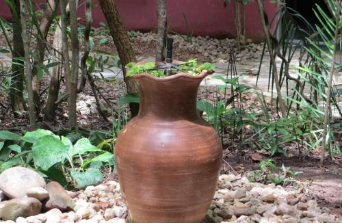 Colinas do Sul Hotel | Pousada Éden - Conforto, Imersão e Natureza