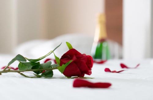 Centro Hotel | Contagem Centro Hotel