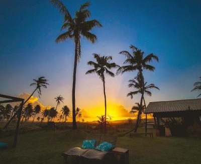 Subauma Resort | Tree Bies Resort - Oficial