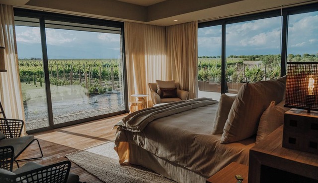 The Vines Resort & Spa