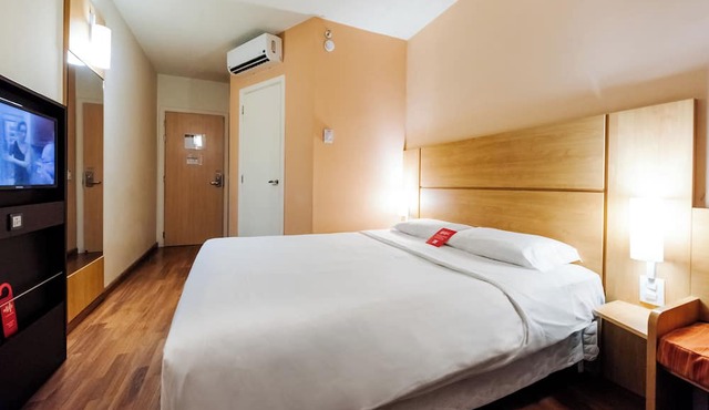 Ibis Novo Hamburgo