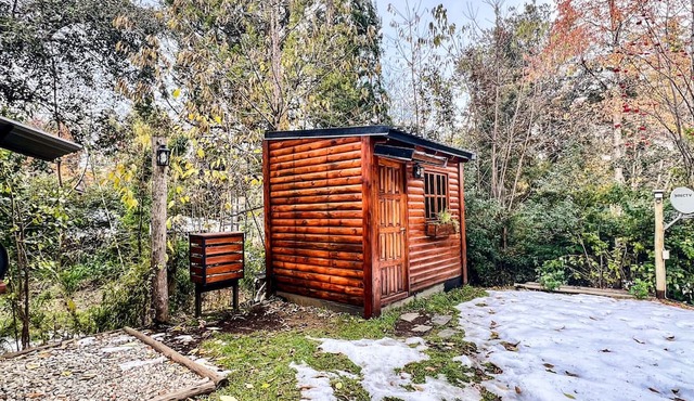 Bright cabin, steps from Lake Nahuel Huapi