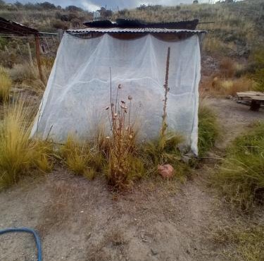 La Cápsula, a rugged nature stay in purity