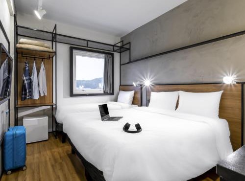 Ibis Aruja