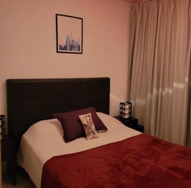 Departamento morderno y centrico-Paseo Plaza