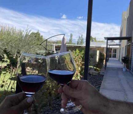Vineyard Olive Inn -Pool & Wine Route Experience