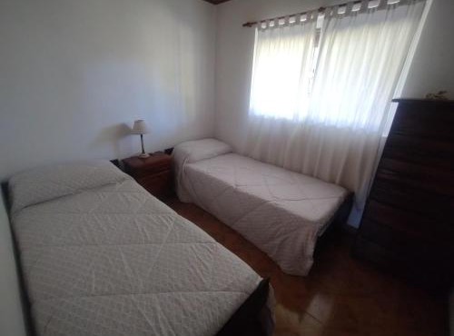 Las palmeras