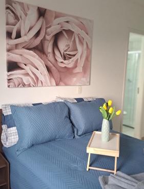 Tulipa