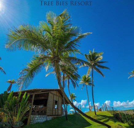 Tree Bies Resort 